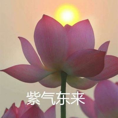 热血仙域手游当乐版下载